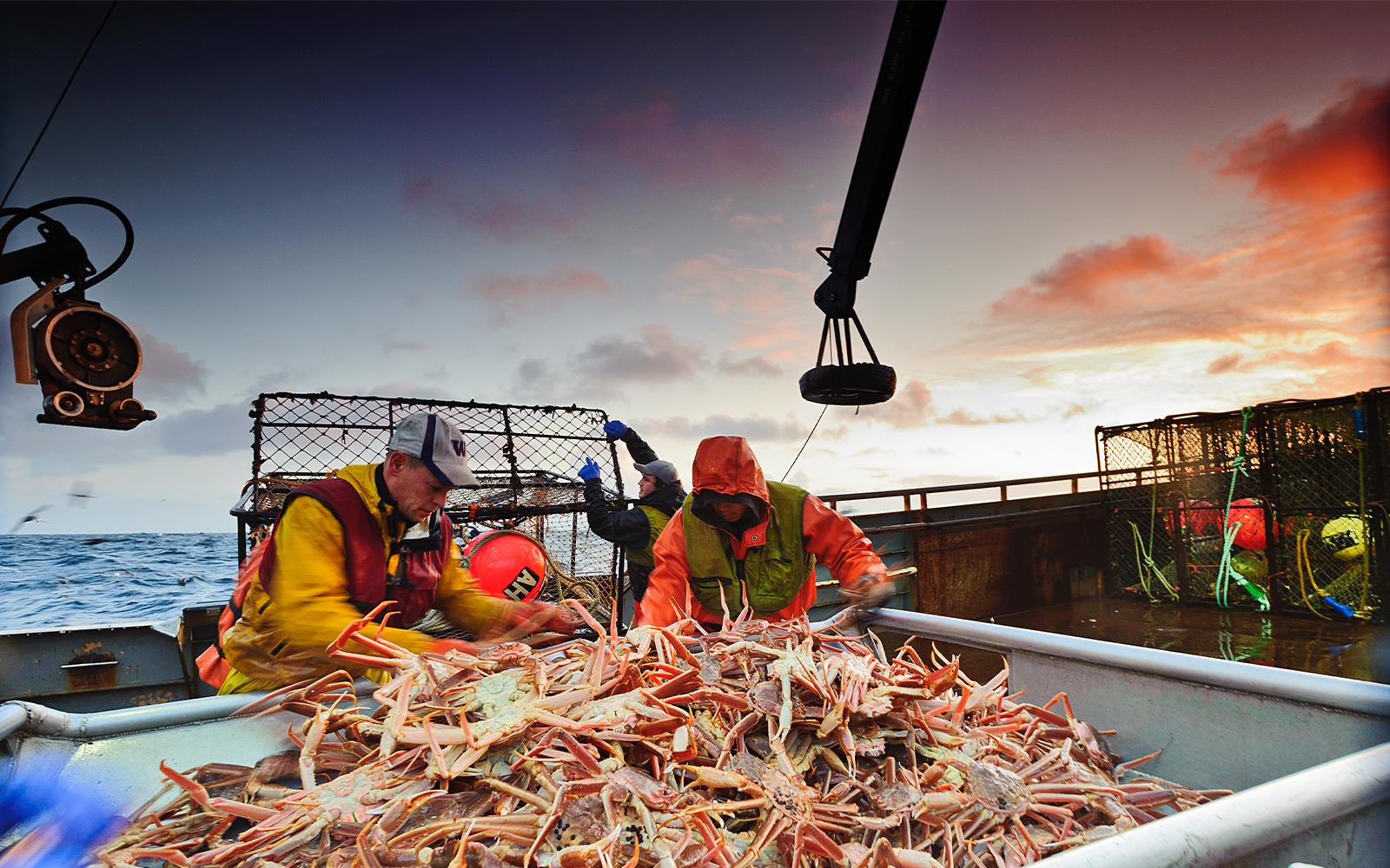 Alaska Snow Crab — F.W. Bryce, Inc.
